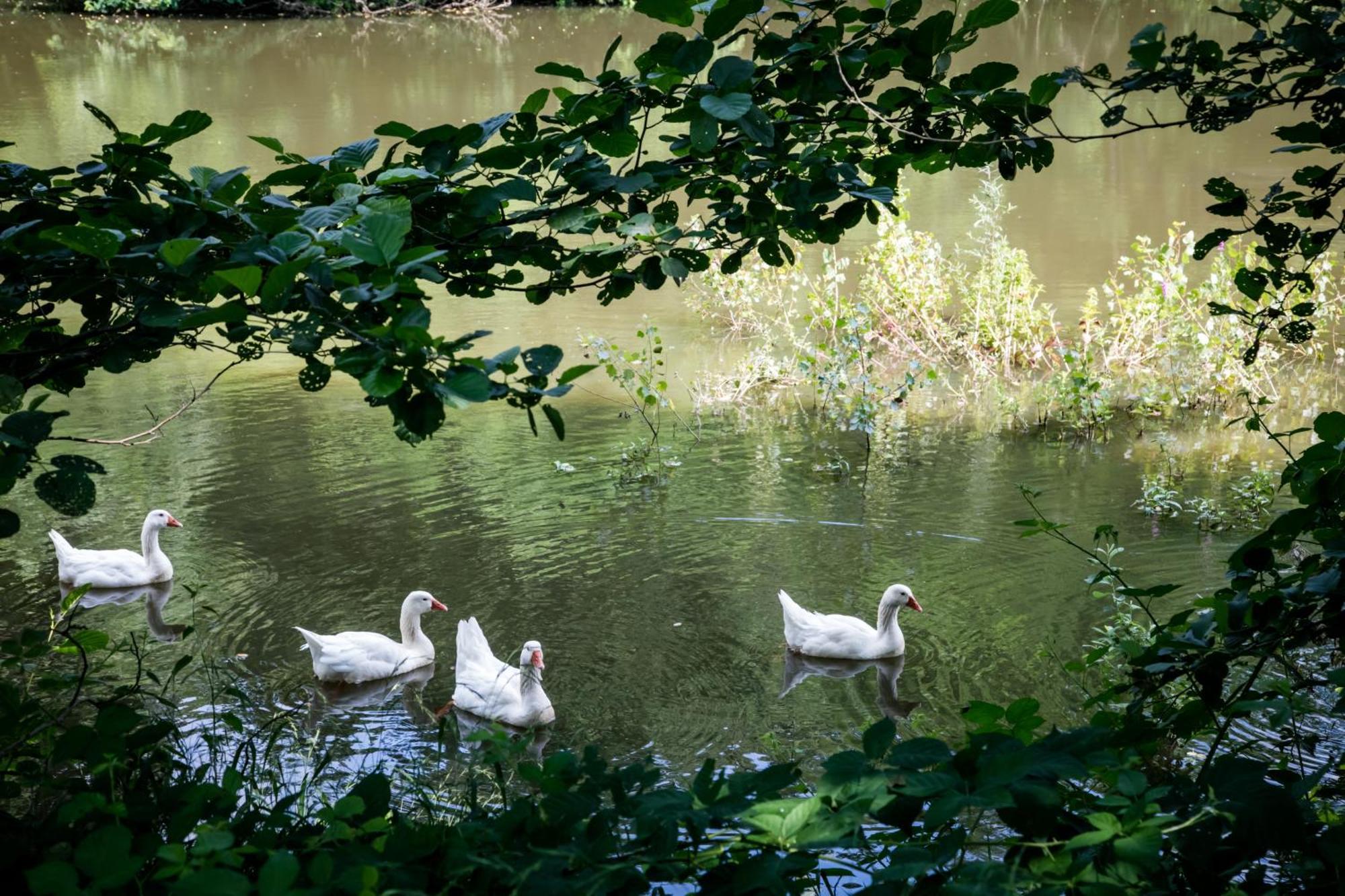 Agriturismo Parco Campofelice Lombardore Εξωτερικό φωτογραφία