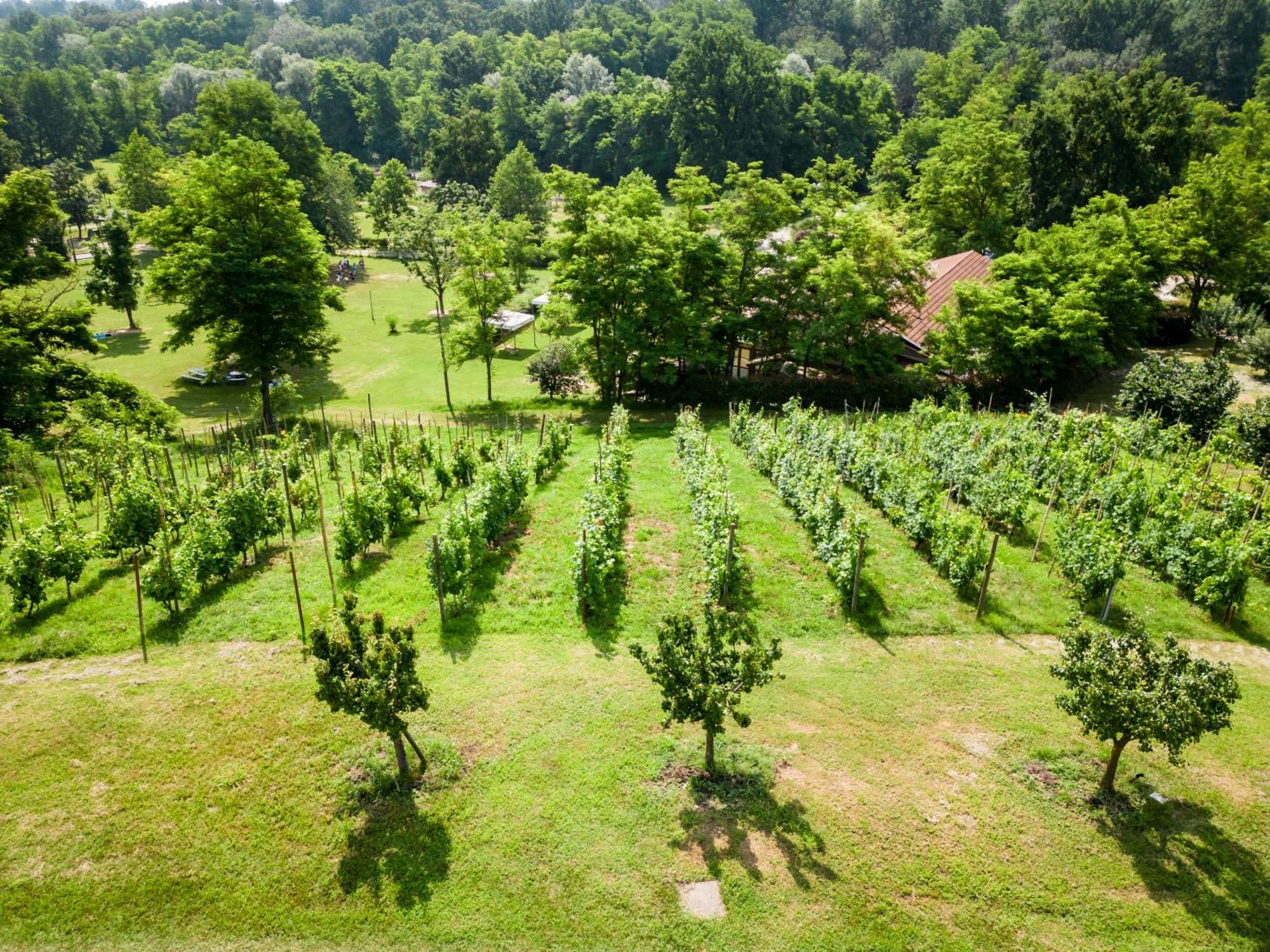 Agriturismo Parco Campofelice Bed and Breakfast Lombardore Εξωτερικό φωτογραφία