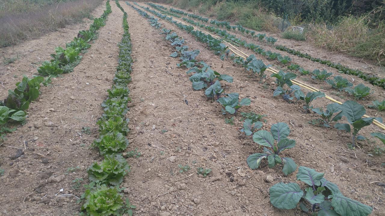 Agriturismo Parco Campofelice Lombardore Εξωτερικό φωτογραφία